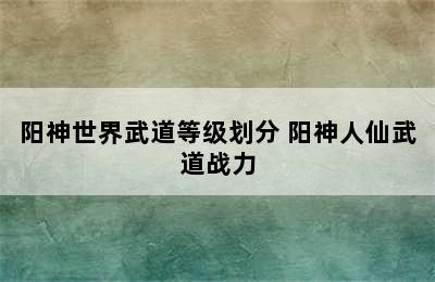 阳神世界武道等级划分 阳神人仙武道战力